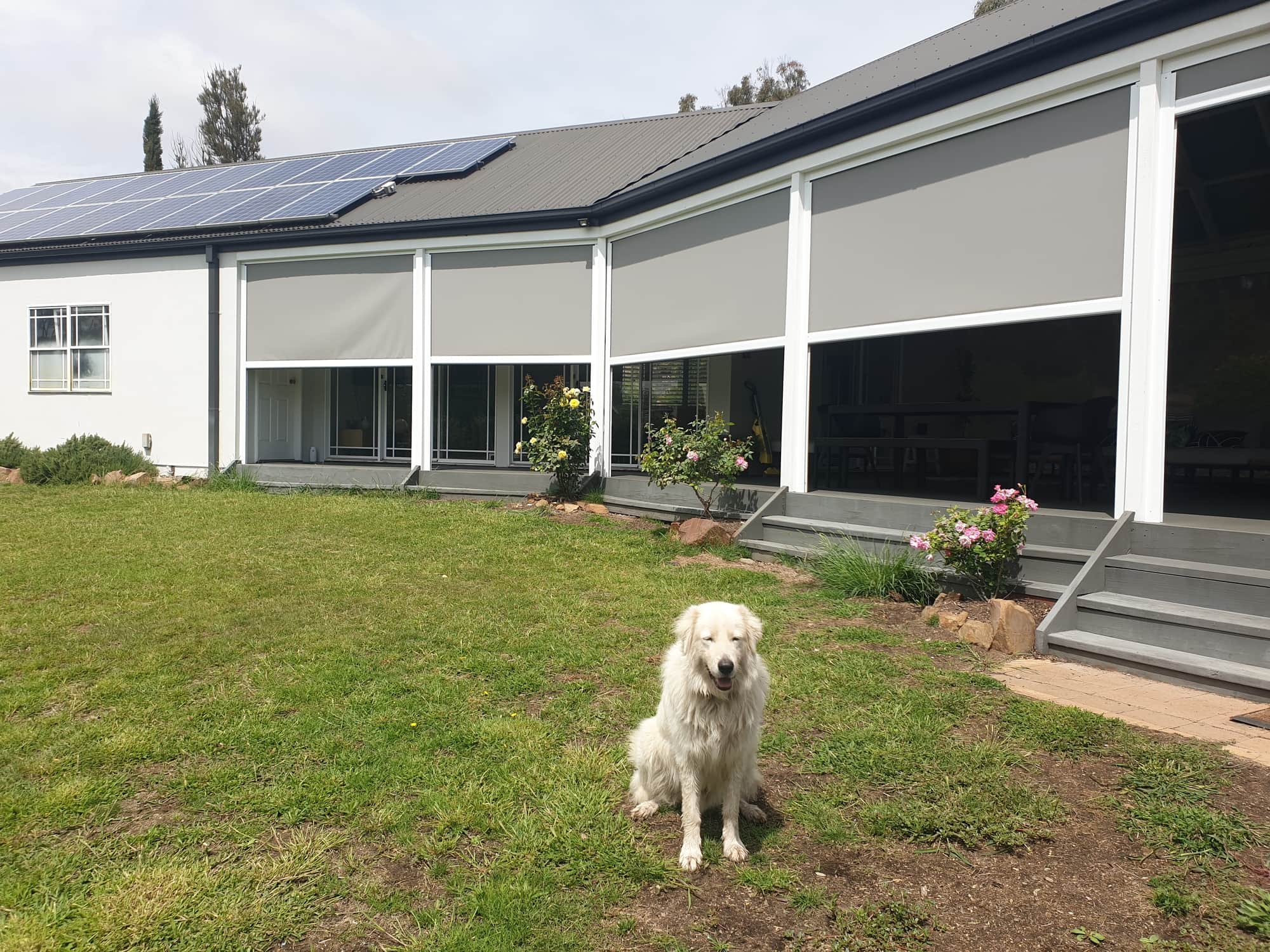 Mesh Motorised Ezip Awnings